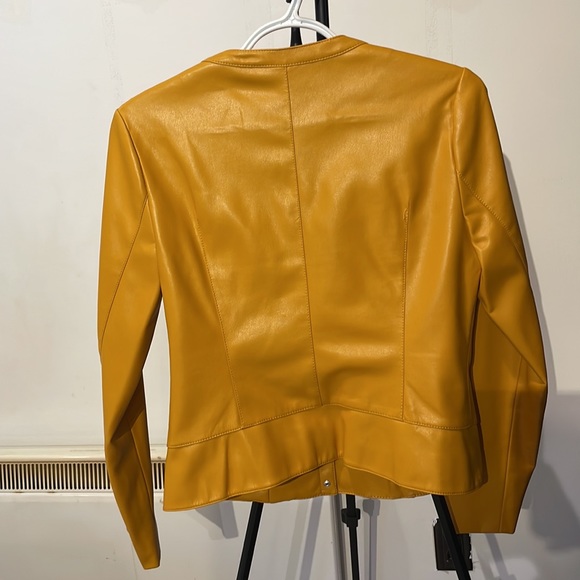 Yellow jacket - Picture 4 of 4